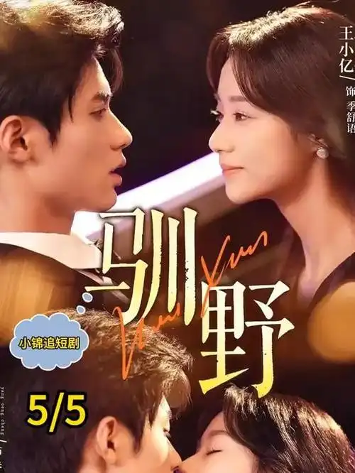 重生之我在旧巷开书店 蜜桃视频在线观看短剧海报